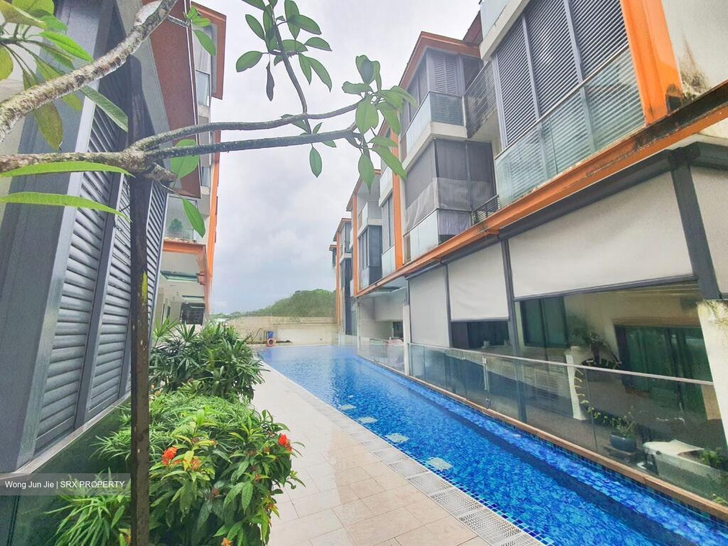Floraview (D20), Apartment #586120901